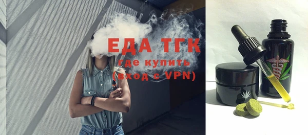 индика Няндома