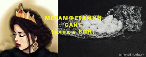 индика Няндома