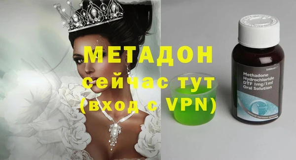 индика Няндома
