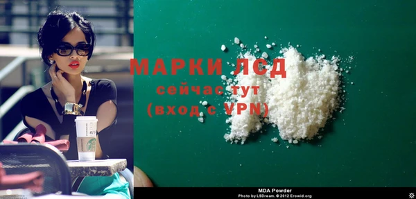 индика Няндома