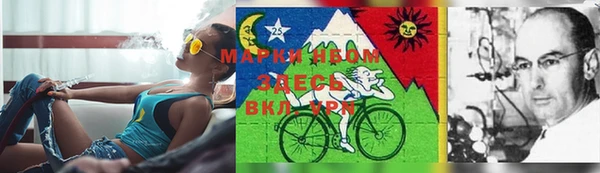 прущий лед Нягань