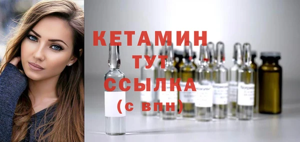индика Няндома