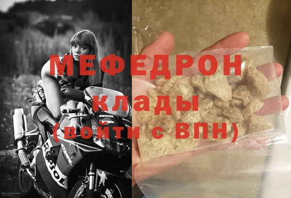 индика Няндома