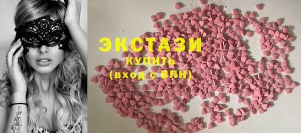 индика Няндома