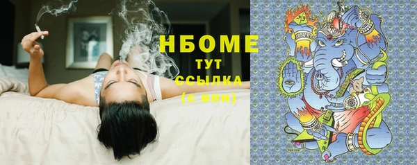 индика Няндома