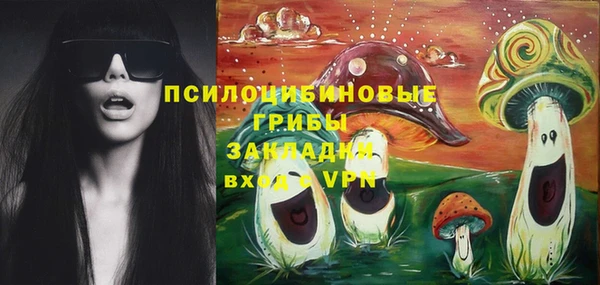 СК Бутурлиновка