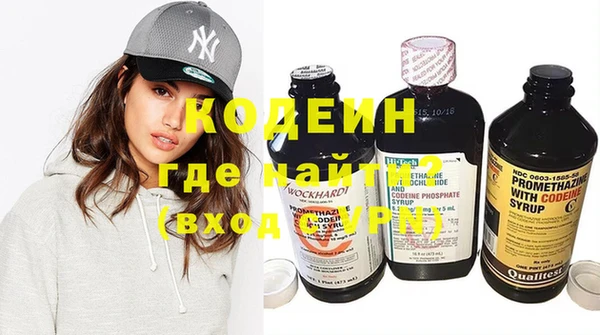 индика Няндома