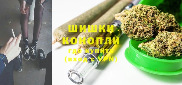 индика Няндома