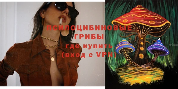 индика Няндома