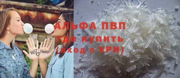 индика Няндома
