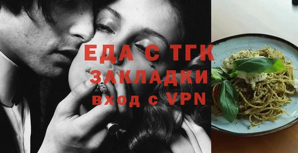 индика Няндома