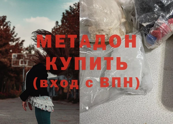 индика Няндома