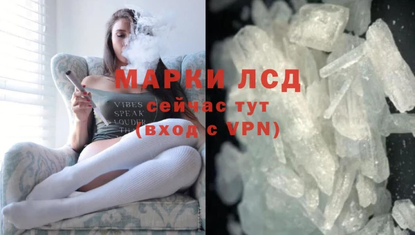 индика Няндома