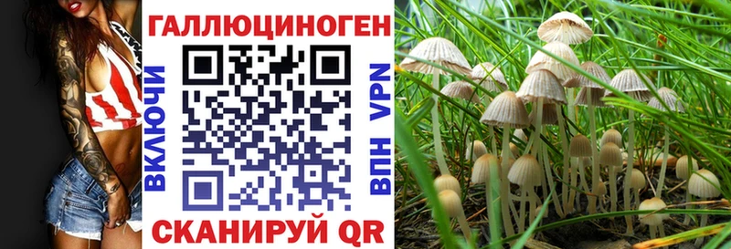 Псилоцибиновые грибы мухоморы хочу Щёлкино